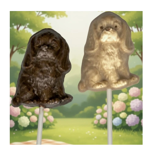 Chocolate Cocker Spaniel Pops