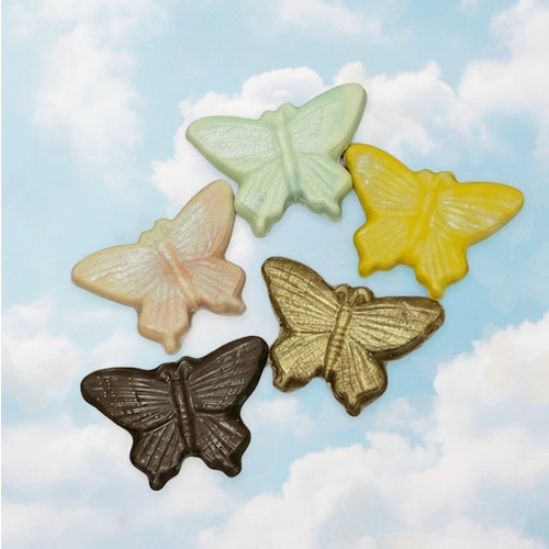 Butterfly Pieces
