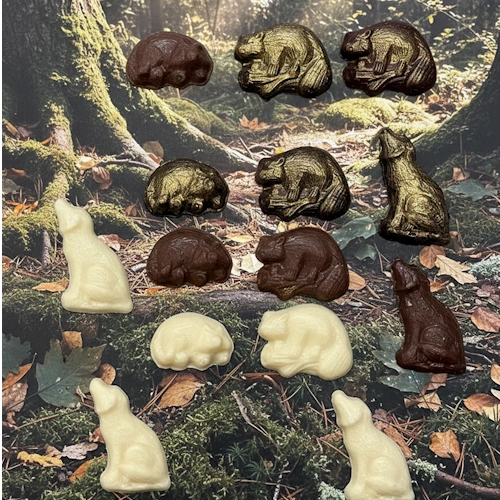 Woodsy Collection