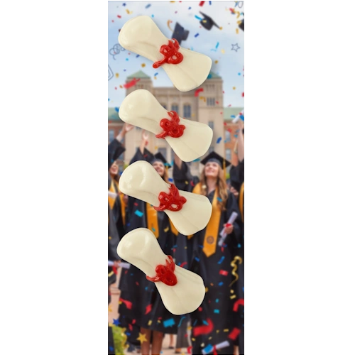 Mini Diplomas